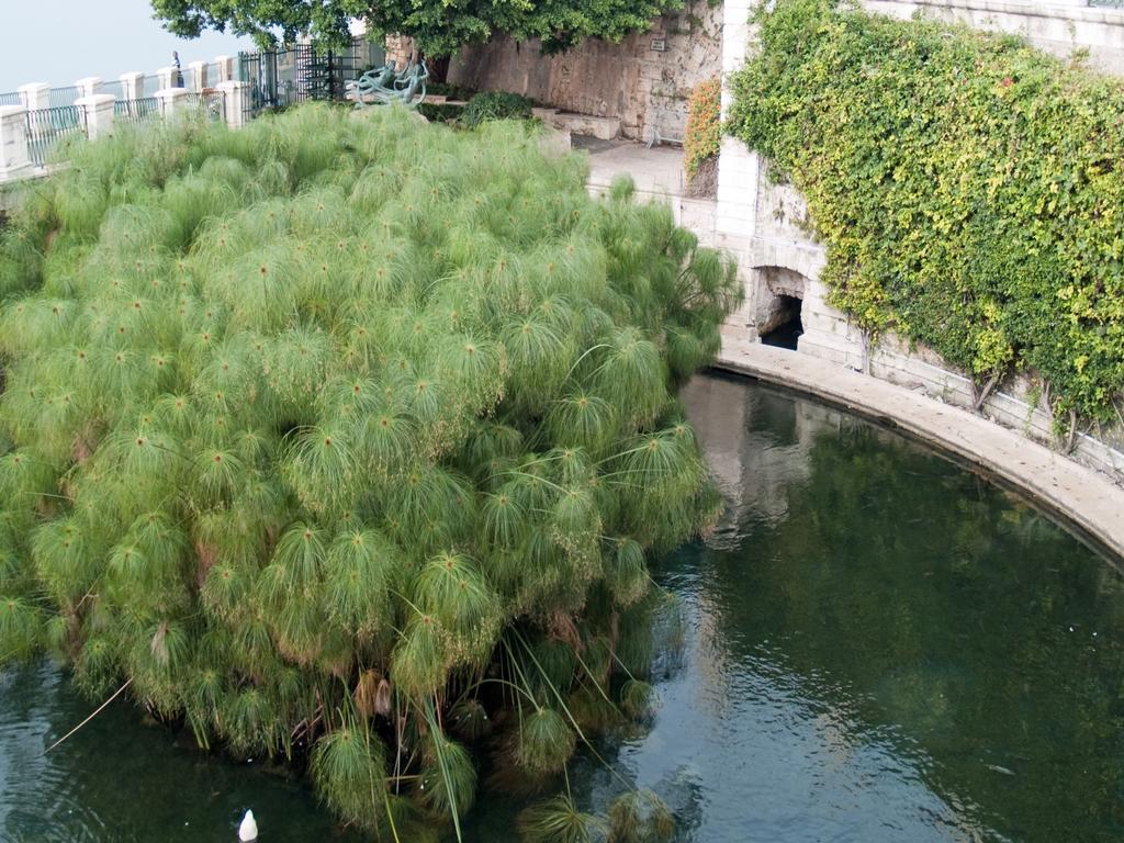 Corallia Apartment Szirakúza Kültér fotó